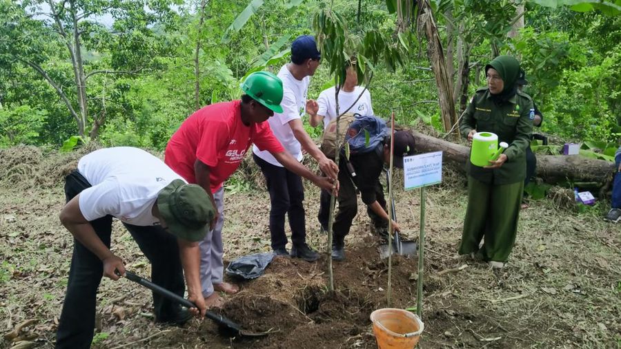 Penanaman 1000 Pohon. (CNBC Indonesia/ Suhendra)