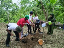 Kisah Elon Musk, BCA 'Sulap' Gunung Lombok Jadi Hutan Durian