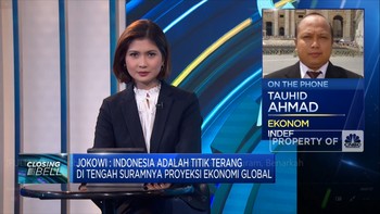 Jokowi: RI Titik Terang Saat Ekonomi Global Suram, Benarkah?