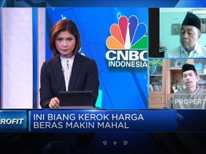 Petani & Pedagang Ungkap Biang Kerok Harga Beras Makin Mahal