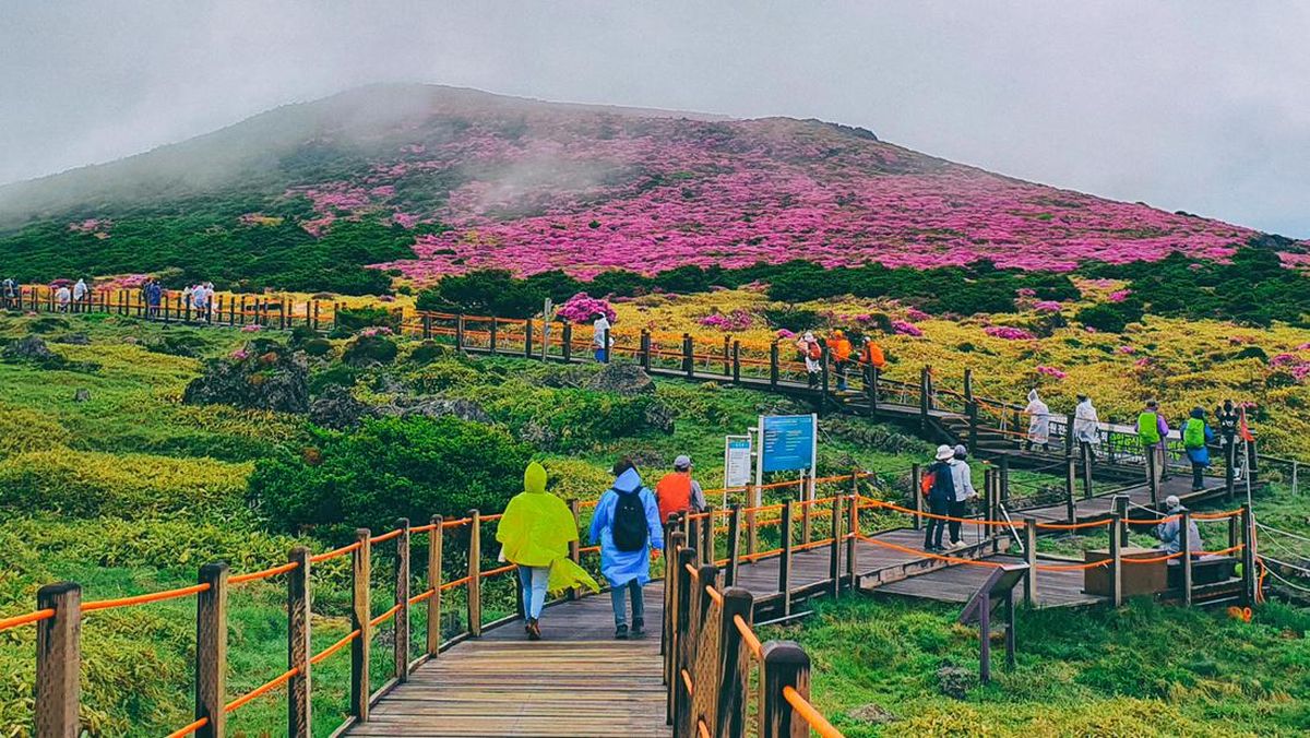 4 Orang Hilang Ditemukan Tewas, Turis-turis Batalkan Liburan ke Pulau Jeju