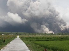 Memahami 4 Level Status Gunung Api, dari Normal sampai Awas