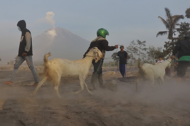 Smoke rises from Mount Semeru in Lumajang on December 5, 2022. - Indonesia's Mount Semeru erupted on December 4 spewing hot ash clouds a mile high and rivers of lava down its side while sparking the evacuation of nearly 2,000 people exactly one year after its last major eruption killed dozens. (Photo by JUNI KRISWANTO / AFP) (Photo by JUNI KRISWANTO/AFP via Getty Images)