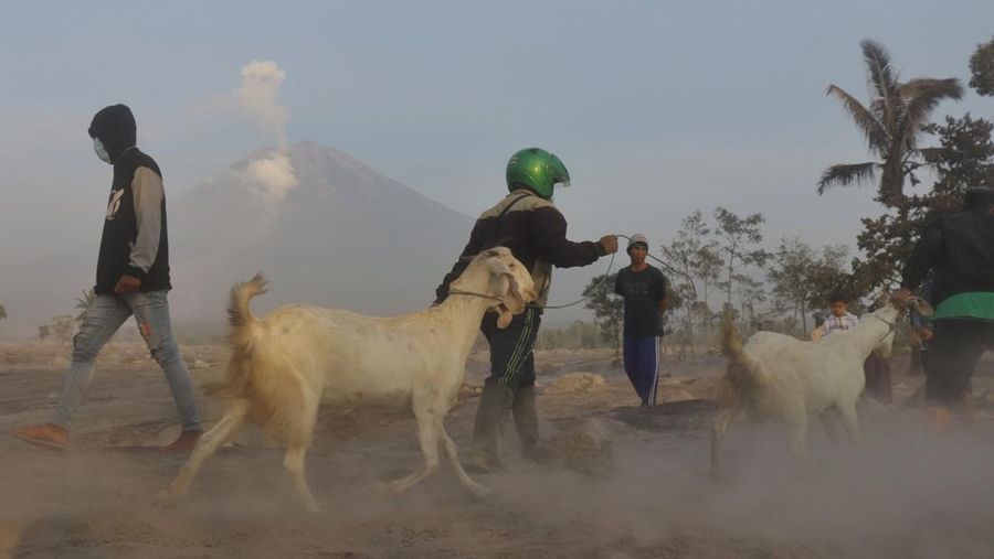 Smoke rises from Mount Semeru in Lumajang on December 5, 2022. - Indonesia's Mount Semeru erupted on December 4 spewing hot ash clouds a mile high and rivers of lava down its side while sparking the evacuation of nearly 2,000 people exactly one year after its last major eruption killed dozens. (Photo by JUNI KRISWANTO / AFP) (Photo by JUNI KRISWANTO/AFP via Getty Images)