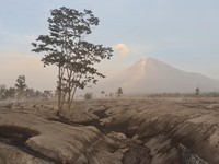 Mulai 