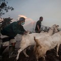 Banjir Lahar Semeru Masuk Sungai, Warga Diminta Waspada