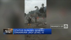 Video: Erupsi Semeru Masuki Level Awas, 1.979 Warga Mengungsi