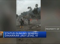 Video: Erupsi Semeru Masuki Level Awas, 1.979 Warga Mengungsi