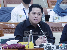 Di Depan DPR, Erick Thohir Blak-blakan Soal Transformasi PLN