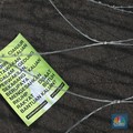Media Asing Soroti Check-In Bisa Berujung Penjara 1 Tahun