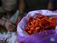 Gak Pake Rem! Harga Cabai Jenis Ini Ngegas Terus