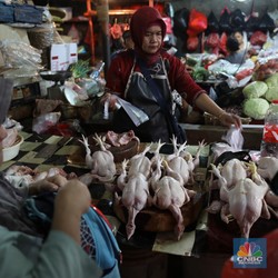 Alert! Harga Sembako Beterbangan, di DKI Daging Rp170.000