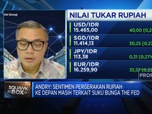 Ini Dia 8 Faktor Penopang Daya Tahan Rupiah Lawan Dolar AS