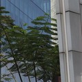 Aturan Baru PAYDI Sempurnakan Komitmen Prudential Indonesia