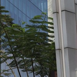 Aturan Baru PAYDI Sempurnakan Komitmen Prudential Indonesia