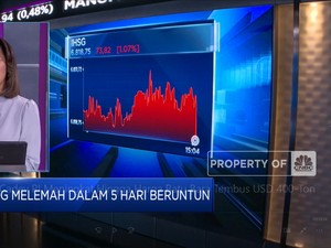 Market Fokus: Cadev RI Meningkat & Harga Batu Bara Memanas