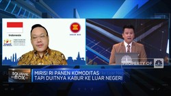 Miris! RI Panen Komoditas Tapi Dolarnya Kabur ke Luar Negeri