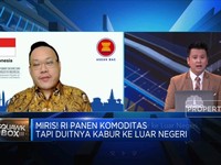 Miris! RI Panen Komoditas Tapi Dolarnya Kabur ke Luar Negeri