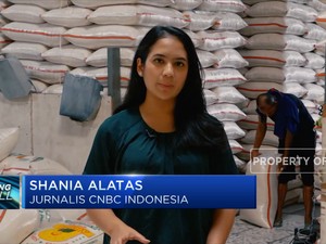 Stok Menipis, Pemerintah Akan Impor 200.000 Ton Beras