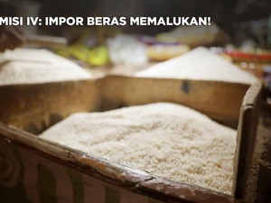 Komisi IV: Impor Beras Memalukan!