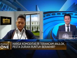 KSP Ungkap Jurus "Mumpuni" RI Banding Gugatan Nikel di WTO