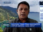 Pemerintah Bakal Impor 500 Ribu Ton Beras, Apa Alasannya?