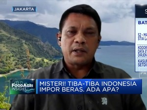 Pemerintah Bakal Impor 500 Ribu Ton Beras, Apa Alasannya?