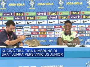 Video: Kucing 'Kopdar' di Jumpa Pers Vinicius Jr