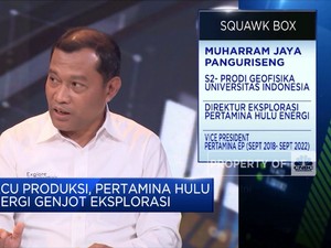 Genjot Eksplorasi Sumur Minyak Baru, PHE Andalkan 3 Strategi