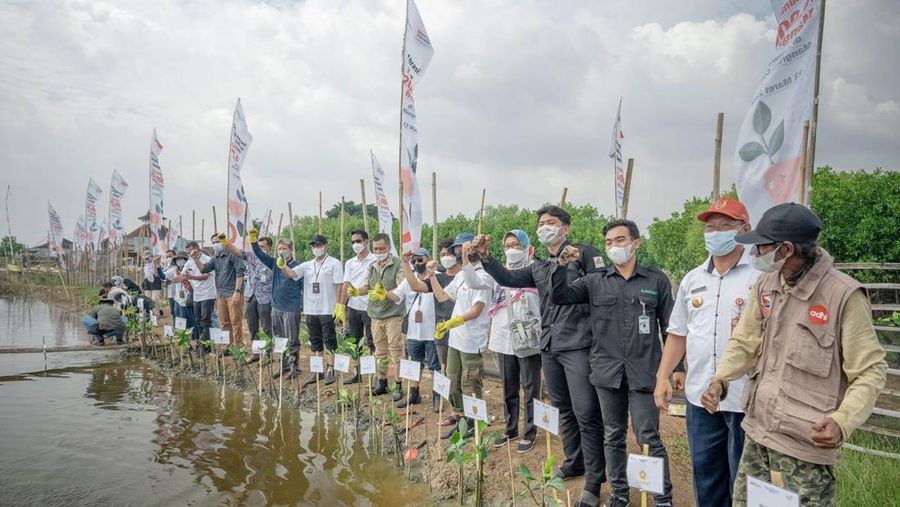 Dok Telkom