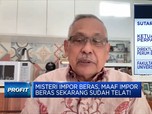 Pak Jokowi, Impor Beras Dinilai Sudah Terlambat,Ini Sebabnya!