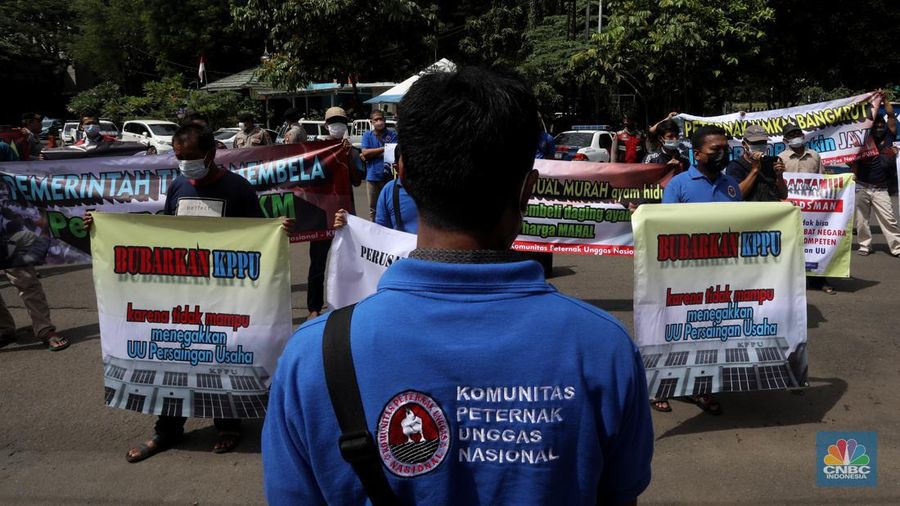 Puluhan massa dari Komunitas Peternak Unggas Nasional (KPUN) menggelar aksi unjuk rasa di depan Kantor Kementerian Koordinator Bidang Perekonomian RI, Lapangan Banteng, Jakarta Pusat, Selasa (13/12/2022). Mereka mendesak Kemenko Bidang Perekonomian Untuk segera membuat draft Rancangan Peraturan Presiden tentang Perlindungan Peternak Rakyat Ayam Ras. Tuntutan ini sebagaimana diamanatkan UU No.18/2009 Jo; UU 41/2014 tentang Peternakan dan Kesehatan Hewan. Pasal 33 ketentuan lebih lanjut mengenai Budidaya sebagaimana dimaksud Pasal 27 sampai Pasal 32 diatur dengan Peraturan Presiden. (CNBC Indonesia/Andrean Kristianto)
