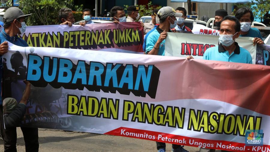 Puluhan massa dari Komunitas Peternak Unggas Nasional (KPUN) menggelar aksi unjuk rasa di depan Kantor Kementerian Koordinator Bidang Perekonomian RI, Lapangan Banteng, Jakarta Pusat, Selasa (13/12/2022). Mereka mendesak Kemenko Bidang Perekonomian Untuk segera membuat draft Rancangan Peraturan Presiden tentang Perlindungan Peternak Rakyat Ayam Ras. Tuntutan ini sebagaimana diamanatkan UU No.18/2009 Jo; UU 41/2014 tentang Peternakan dan Kesehatan Hewan. Pasal 33 ketentuan lebih lanjut mengenai Budidaya sebagaimana dimaksud Pasal 27 sampai Pasal 32 diatur dengan Peraturan Presiden. (CNBC Indonesia/Andrean Kristianto)