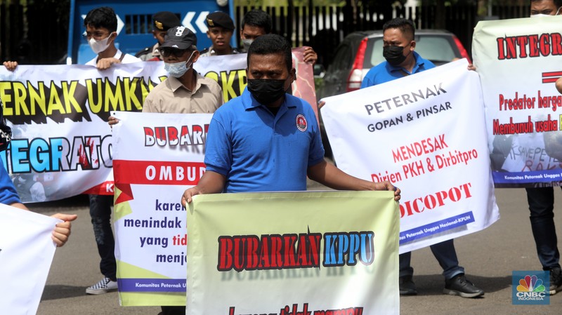 Puluhan massa dari Komunitas Peternak Unggas Nasional (KPUN) menggelar aksi unjuk rasa di depan Kantor Kementerian Koordinator Bidang Perekonomian RI, Lapangan Banteng, Jakarta Pusat, Selasa (13/12/2022). Mereka mendesak Kemenko Bidang Perekonomian Untuk segera membuat draft Rancangan Peraturan Presiden tentang Perlindungan Peternak Rakyat Ayam Ras. Tuntutan ini sebagaimana diamanatkan UU No.18/2009 Jo; UU 41/2014 tentang Peternakan dan Kesehatan Hewan. Pasal 33 ketentuan lebih lanjut mengenai Budidaya sebagaimana dimaksud Pasal 27 sampai Pasal 32 diatur dengan Peraturan Presiden. (CNBC Indonesia/Andrean Kristianto) Puluhan massa dari Komunitas Peternak Unggas Nasional (KPUN) menggelar aksi unjuk rasa di depan Kantor Kementerian Koordinator Bidang Perekonomian RI, Lapangan Banteng, Jakarta Pusat, Selasa (13/12/2022). Mereka mendesak Kemenko Bidang Perekonomian Untuk segera membuat draft Rancangan Peraturan Presiden tentang Perlindungan Peternak Rakyat Ayam Ras. Tuntutan ini sebagaimana diamanatkan UU No.18/2009 Jo; UU 41/2014 tentang Peternakan dan Kesehatan Hewan. Pasal 33 ketentuan lebih lanjut mengenai Budidaya sebagaimana dimaksud Pasal 27 sampai Pasal 32 diatur dengan Peraturan Presiden. (CNBC Indonesia/Andrean Kristianto)