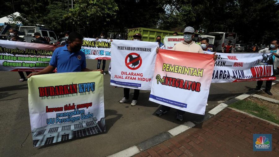 Puluhan massa dari Komunitas Peternak Unggas Nasional (KPUN) menggelar aksi unjuk rasa di depan Kantor Kementerian Koordinator Bidang Perekonomian RI, Lapangan Banteng, Jakarta Pusat, Selasa (13/12/2022). Mereka mendesak Kemenko Bidang Perekonomian Untuk segera membuat draft Rancangan Peraturan Presiden tentang Perlindungan Peternak Rakyat Ayam Ras. Tuntutan ini sebagaimana diamanatkan UU No.18/2009 Jo; UU 41/2014 tentang Peternakan dan Kesehatan Hewan. Pasal 33 ketentuan lebih lanjut mengenai Budidaya sebagaimana dimaksud Pasal 27 sampai Pasal 32 diatur dengan Peraturan Presiden. (CNBC Indonesia/Andrean Kristianto)