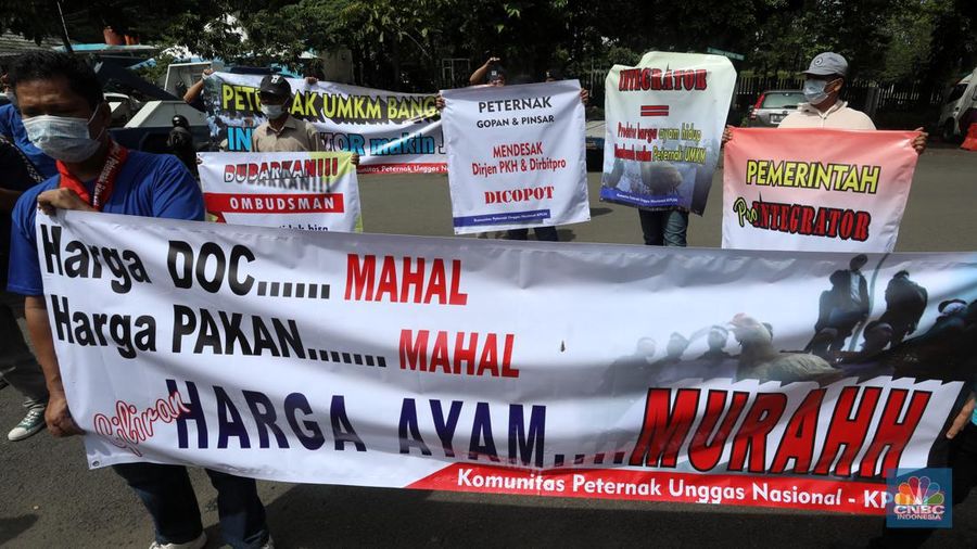 Puluhan massa dari Komunitas Peternak Unggas Nasional (KPUN) menggelar aksi unjuk rasa di depan Kantor Kementerian Koordinator Bidang Perekonomian RI, Lapangan Banteng, Jakarta Pusat, Selasa (13/12/2022). Mereka mendesak Kemenko Bidang Perekonomian Untuk segera membuat draft Rancangan Peraturan Presiden tentang Perlindungan Peternak Rakyat Ayam Ras. Tuntutan ini sebagaimana diamanatkan UU No.18/2009 Jo; UU 41/2014 tentang Peternakan dan Kesehatan Hewan. Pasal 33 ketentuan lebih lanjut mengenai Budidaya sebagaimana dimaksud Pasal 27 sampai Pasal 32 diatur dengan Peraturan Presiden. (CNBC Indonesia/Andrean Kristianto)