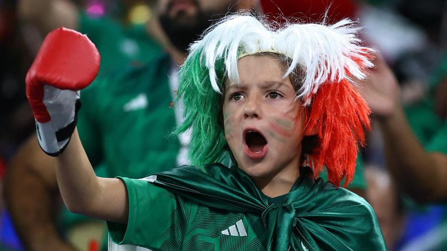 Soccer Football - FIFA World Cup Qatar 2022 - Group D - Tunisia v France - Education City Stadium, Al Rayyan, Qatar - November 30, 2022 A young fan inside the stadium before the match REUTERS/Carl Recine     TPX IMAGES OF THE DAY