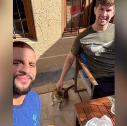 Gemas Banget, Timnas Inggris Adopsi Kucing Jalanan dari Qatar