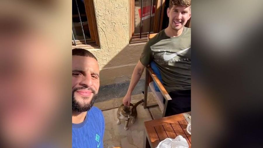 Dave si kucing dari Qatar akan datang bersama pesepakbola Kyle Walker dan John Stones. (Tangkapan layar Instagram @englandfootball)