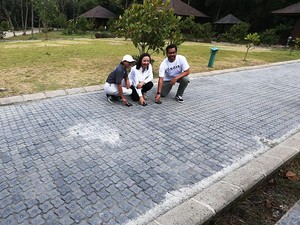 Aspal vs Paving Block, Mana yang Lebih Cocok untuk Jalanan Perumahan?