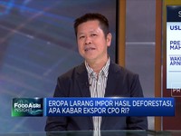Uni Eropa Larang Impor Hasil Deforestasi, Bos Sawit Cemas?