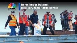 Beras Impor Datang, Bisa Turunkan Harga Beras?