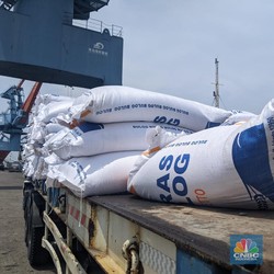 Harga Beras RI Dituding Termahal, Begini Respons Mentan