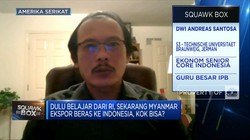 Ekonom: Impor Beras Jelang Musim Panen Merugikan Petani