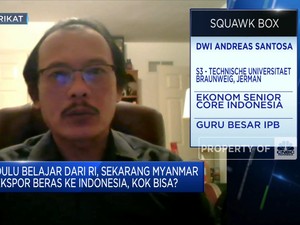 Ekonom: Impor Beras Jelang Musim Panen Merugikan Petani