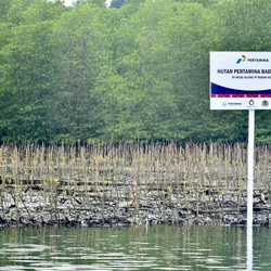 Kurangi Emisi Karbon Lewat Hutan Pertamina-Badak LNG