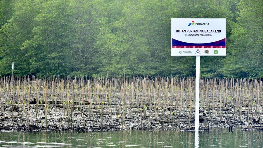 Hutan Pertamina di Bontang Diresmikan, Luas 40 Hektar