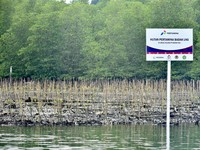 Kurangi Emisi Karbon Lewat Hutan Pertamina-Badak LNG