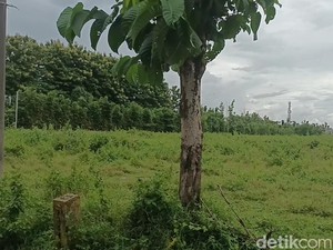 Tanah di Colomadu Tembus Rp 3 Jutaan/Meter, Setara Harga di Depok-Bekasi