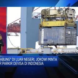 Langgar Aturan DHE, Bea Cukai Sanksi 216 Eksportir